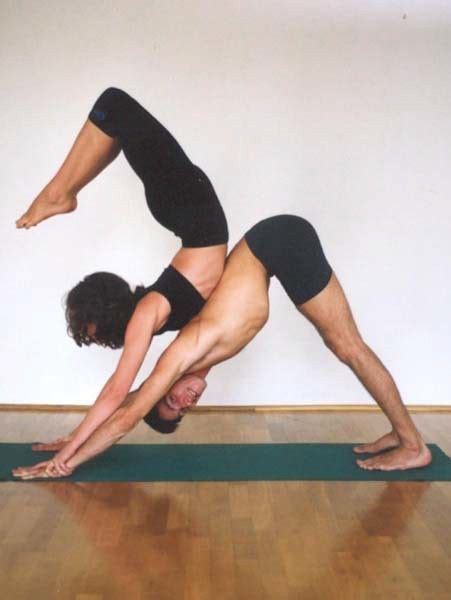 In these beginner partner yoga poses, you'll get used to working with another body in your practice. i-need-new-stimulants: Mmm, couples yoga. :) | Couples yoga poses, Partner yoga poses, Partner yoga