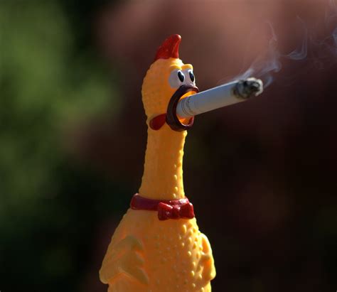 A bigger chicken leg will take longer to cook than a small chicken leg. Rubber Chickens & Bipolar Disorder | Vivid & Brave