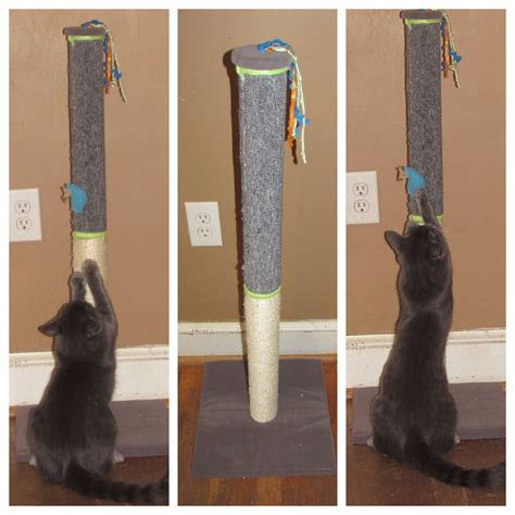 Since kittens are so light they actually can hold on better w. SmartyKat Claw Tower - Product Review Cafe