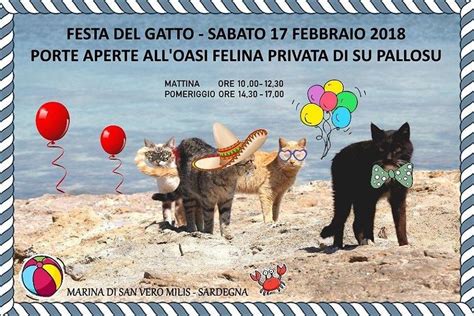 17 febbraio si festeggia la festa nazionale del gatto. Festa del Gatto, Porte Aperte all'Oasi Felina di "Su ...