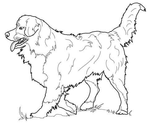 There are opinions about dog coloring pages for adults yet. Dog Coloring Pages for Adults - Best Coloring Pages For Kids