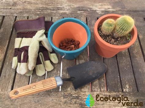 Sustratos para cactus y suculentas tres opciones en cuanto a sustratos para prueba casera: SUSTRATO para CACTUS y SUCULENTAS: Cómo hacerlo