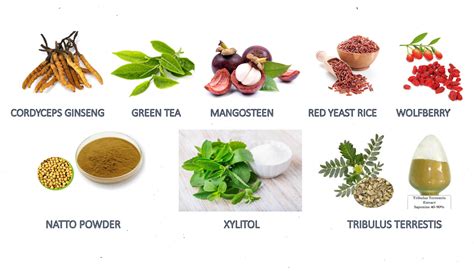 Beli teh herbal online berkualitas dengan harga murah terbaru 2021 di tokopedia! EVO7 HERBA KHUSUS UNTUK KENCING MANIS DAN TENAGA BATIN ...