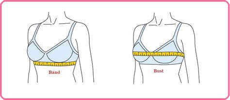 We did not find results for: Bra size in Bangladesh with chart list and Measurement