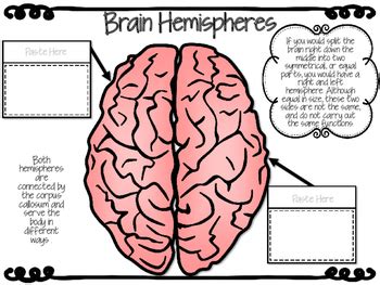 The central nervous system (cns) consists of the brain and the spinal cord, while the peripheral nervous system (pns) consists of sensory neurons, ganglia (clusters of neurons) and nerves. Central Nervous System Diagrams Interactive Activities by ...