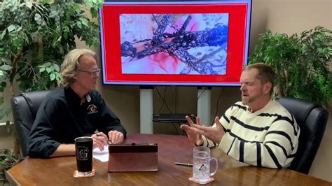 L., in the southeastern united states. crape myrtle bark scale - YouTube