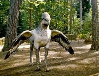 Cin dobby onu ziyaret etmiş ve okula dönmemesi için aklını çelmeye çalışmıştır. Il Rifugio degli Elfi: Mezzi di trasporto - 3a parte Drago, Grifone Ippogrifo e Fenice