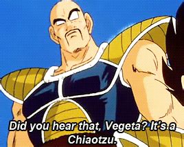 Check spelling or type a new query. dragon ball z abridged nappa | Tumblr