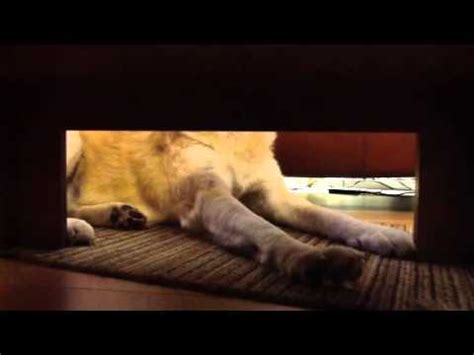 Über gmx homepage & mail Bei Hempels unterm Sofa - YouTube