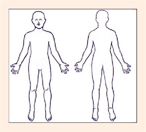 Using anatomical planes allows for accurate description of a location, and also allows the reader to understand what a diagram or picture is trying to show. Blank Anatomical Position Diagram - blank anatomical position worksheet | Teaching college ...