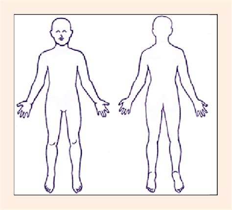 Below are two human body muscle diagrams, showing the front and back of the body. Anatomical diagram used to detail location of injury ...