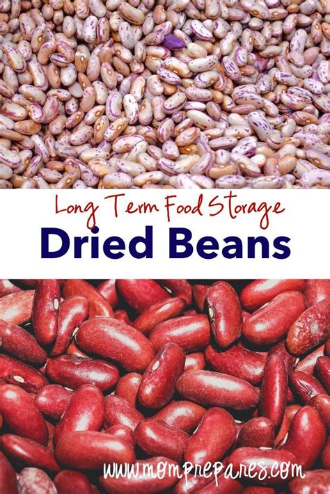 Finding an area of your home or property with the optimal conditions and temperatures is key to extending the average shelf life of the food you will be storing. Long Term Food Storage Ideas: Beans (With images) | Long ...