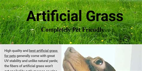 These include the fact it doesnt need watering, so wont go brown in the heat of summer and youll save on your water bill too. Pin on artificial grass for dogs