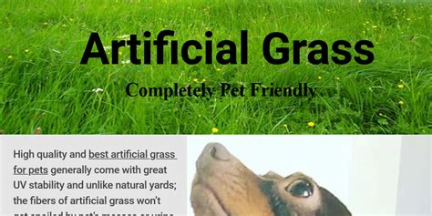 These include the fact it doesnt need watering, so wont go brown in the heat of summer and youll save on your water bill too. Pin on artificial grass for dogs