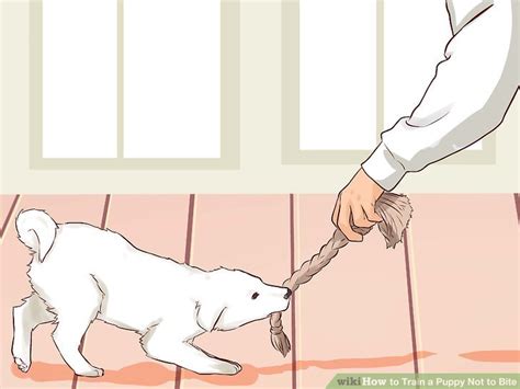 How do you teach a puppy not to bite? How to Train a Puppy Not to Bite: 9 Steps (with Pictures)