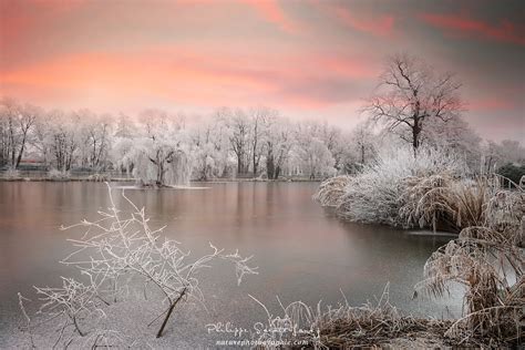 Dix photos nous replongent dans cette belle ambiance. La photo de paysages en hiver - NATUREPHOTOGRAPHIE