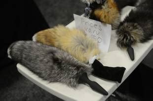 Nefis italyan peyniri, sepelerde yaşlandırılır ve kokusu ek iştah açıcı değildir i. porno-cafonal dalla fiera dell'eros del new jersey ...