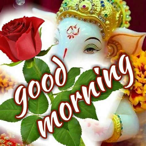 Download hd good morning photos for free on unsplash. Good Morning N Good Night Images Download - Pestcare Jakarta