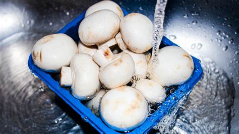 Once you cook your couscous. Here's how to tell if your mushrooms have gone bad