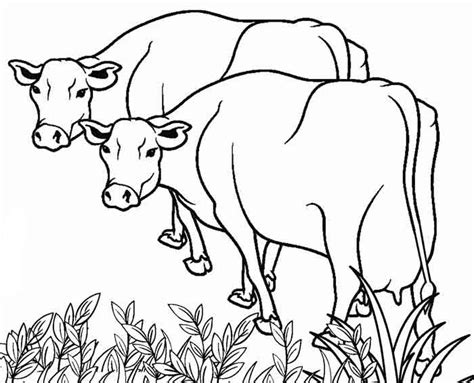 21 cow coloring pages printable for kids and adults. 12 Best Free Printable Cow Coloring Pages For Kids and Adults