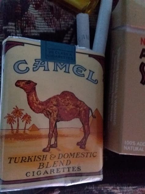 They have a third, clear eyelid that protects their eyes from blowing sand. Found a pack of Camel Wides. Fantastic smoke. : Cigarettes