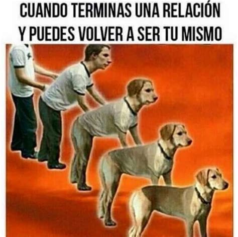 We would like to show you a description here but the site won't allow us. 24 Imágenes estúpidas | Chistes tiernos, Memes graciosos ...