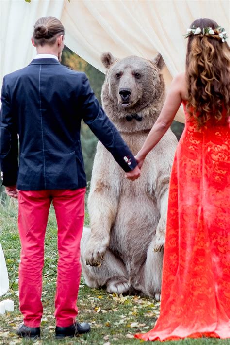 Állati esküvő: egy mackó adta össze a szerelmeseket - galéria - Blikk