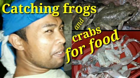 Catch, clean and cook frogs, craw fish and catfish in the bayous of louisiana. Catching frogs and river crabs for food - YouTube