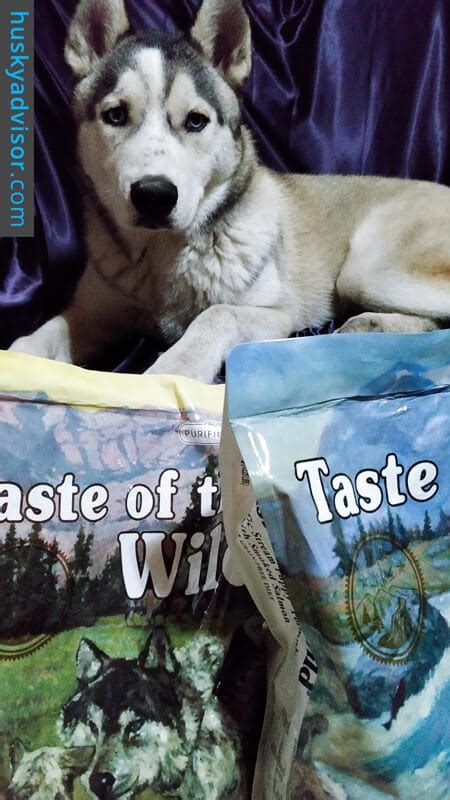 Find out which dog foods america's #1 veterinarian recommends you feed your pup! Husky Puppy - Feeding Guide - Husky Advisor - Feeding Schedule