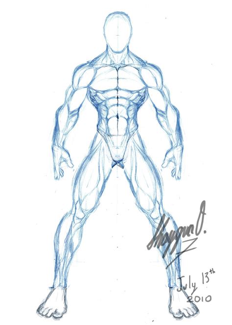 095 | anatomy references for artists. Male Anatomy Template: Front by Shintenzu on DeviantArt