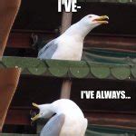 Check spelling or type a new query. Inhaling Seagull Meme Generator - Imgflip