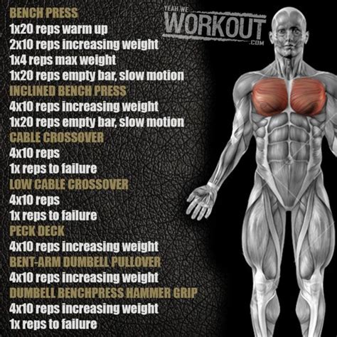 As you'll soon discover, the captain america workout consists of five training days and targets different muscle groups. Stronger Chest Workout - Health Fitness Training Plan Arms ...