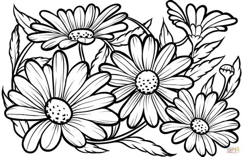 These flowers coloring pages printables will give your child a feeling of spring all year round. Daisies | Super Coloring | Printable coloring pages, Flower coloring pages