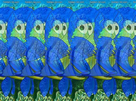 The brooks cross eye stereo 3d by zour on deviantart. Stereogram by 3Dimka: Fish (Cross-eyed). Tags: crosseyed ...