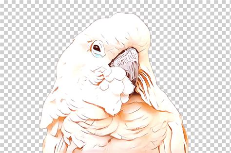 Pelajari jenis lovebird untuk lomba sampai yang termahal di artikel ini. Gambar Sketsa Sketsa Burung Lovebird - Perroquet Png ...