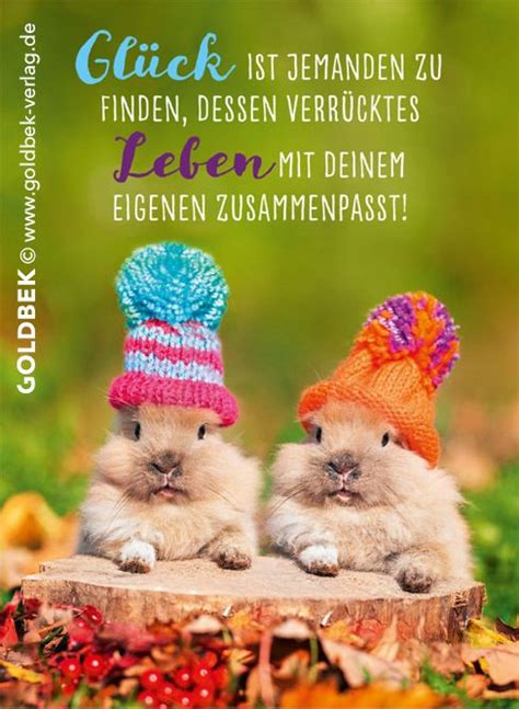 Wo wendet man lustige sprüche am besten an? Postkarten - Glück. Süß, süßer. Doppelt süß. | Tierbabys, Lustige sprüche und Sprüche tiere
