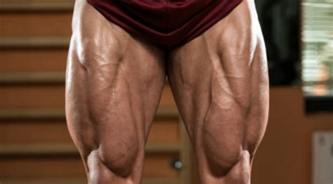· across the board, multijoint leg exercises top this list. 7 Bodybuilding Tips for Guys Over 30 | Muscle & Fitness