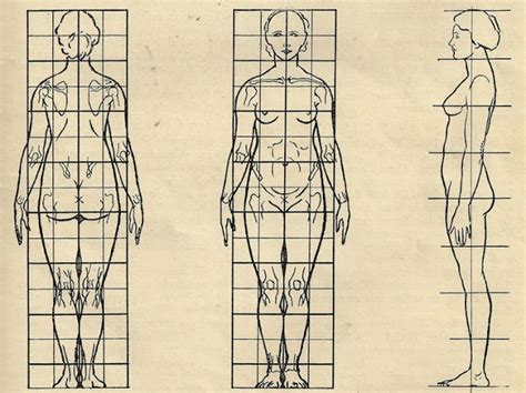 We did not find results for: Figure Structure : Proportions