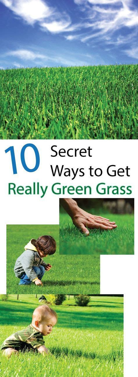 How to make my own lawn fertilizer. How To Get And Keep Your Grass Green - Making DIY Fun | Grass fertilizer, Diy lawn, Green grass