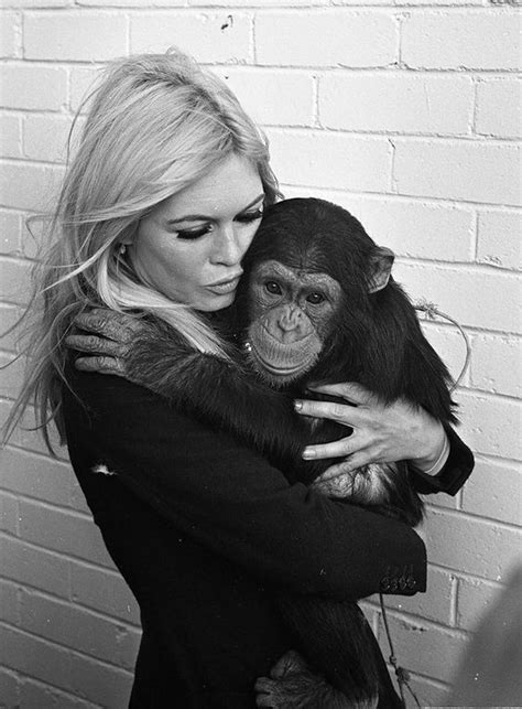 Bridget bardot schauspieler schöne bilder schöne frauen französische schauspieler bilder wunderschön filme frau. BRIGITTE BARDOT (mit Bildern) | Bilder, Schwarz weiß