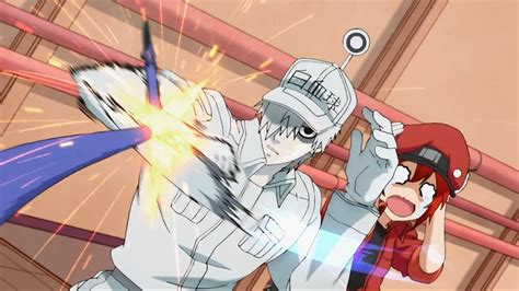 White blood cell rescues red blood cell during the attack and accompanies her. Primeiras Impressões | Asobi Asobase e Cells at Work