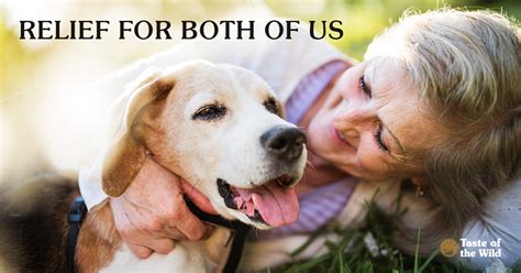 There is no single checklist for how to ship a pet, there are many different are there specific hours or days that a pet should not reach a destination? Gene Therapy for Relief of Arthritis in Dogs and People ...