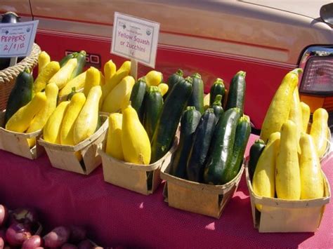 How much do fresh vegeables cost to eat? How Much Does Zucchini Cost? | HowMuchIsIt.org