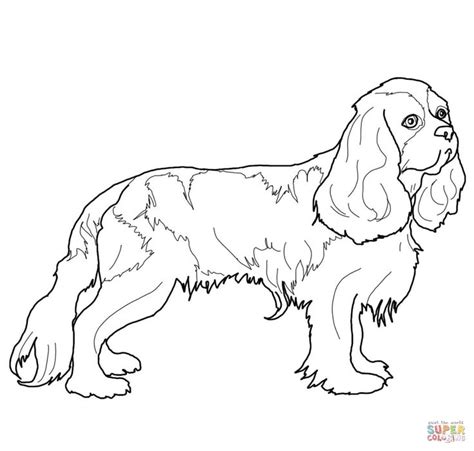 Color in this picture of an cocker spaniel and others with our library of online coloring pages. 344 best Adult coloring pages images on Pinterest | Adult ...