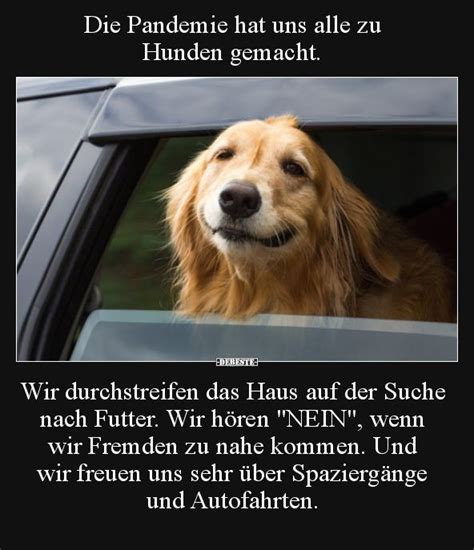 Da muss ich schnell den ganzen weg zurückfahren und die dinger wieder einsammeln. Die Pandemie hat uns alle zu Hunden gemacht... | Witze ...