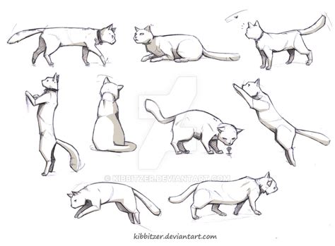 See more ideas about cat drawing, drawings, cat art. Cat Drawing Poses at PaintingValley.com | Explore ...