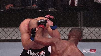 Sports gifs to keep you cheering through overtime. boxing fight gif | WiffleGif