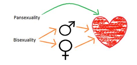 Bi sexual vs pan sexual there is some overlap when defining bisexual and pansexual orientation; Pansexuality is perfect - The difference between Bisexuality & Pansexuality