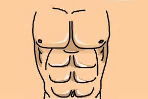 Keep your elbow bent directly under your shoulder. How to Draw Abs - DrawingNow