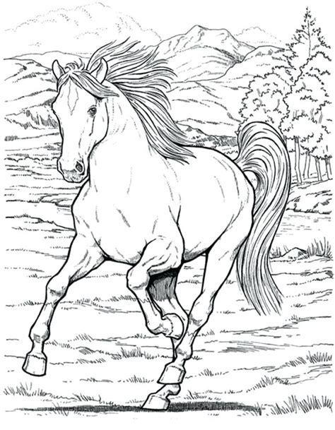Find & download free graphic resources for realistic horse. Free Printable Horse Coloring Pages For Adults at ...
